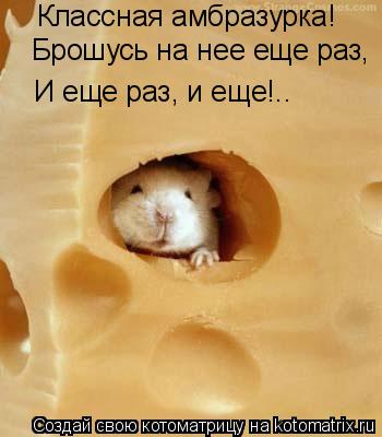 Котоматрица: Классная амбразурка! Брошусь на нее еще раз,  И еще раз, и еще!..