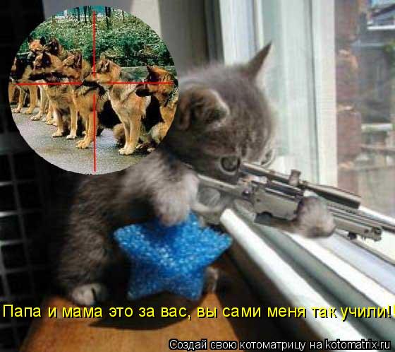 Котоматрица: Папа и мама это за вас, вы сами меня так учили!!!