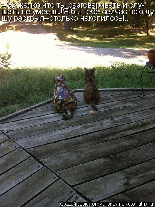 Котоматрица: --Эх,жалко,что ты разговаривать и слу- шать не умеешь!Я бы тебе сейчас всю ду- шу раскрыл--столько накопилось!..