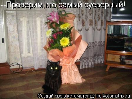 Котоматрица: --Проверим,кто самый суеверный!