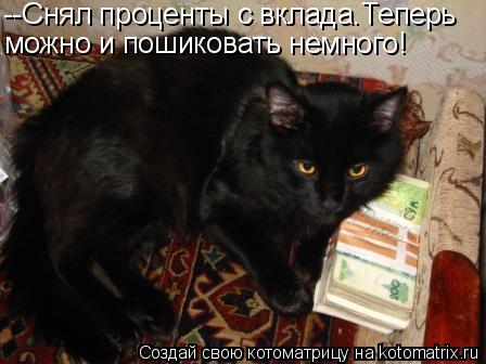 Котоматрица: --Снял проценты с вклада.Теперь можно и пошиковать немного!