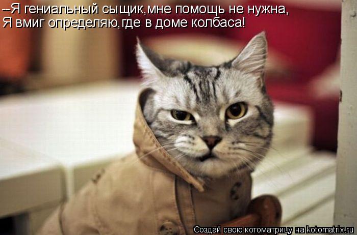 Котоматрица: --Я гениальный сыщик,мне помощь не нужна, Я вмиг определяю,где в доме колбаса!