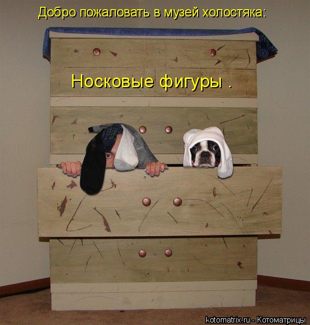 Котоматрица: Добро пожаловать в музей холостяка: «Носковые фигуры».