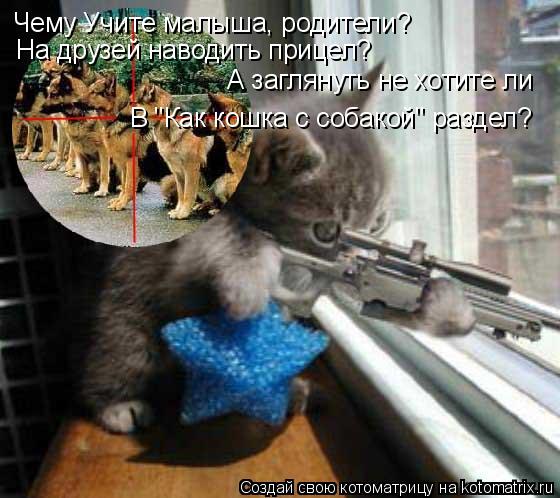 Котоматрица: Чему Учите малыша, родители? На друзей наводить прицел? А заглянуть не хотите ли В "Как кошка с собакой" раздел?