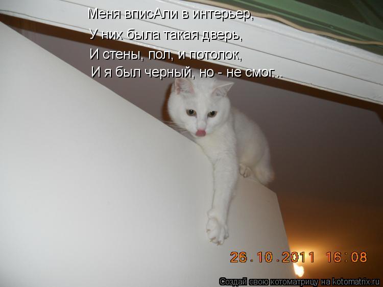 Котоматрица: Меня вписАли в интерьер, У них была такая дверь, И стены, пол, и потолок, И я был черный, но - не смог...