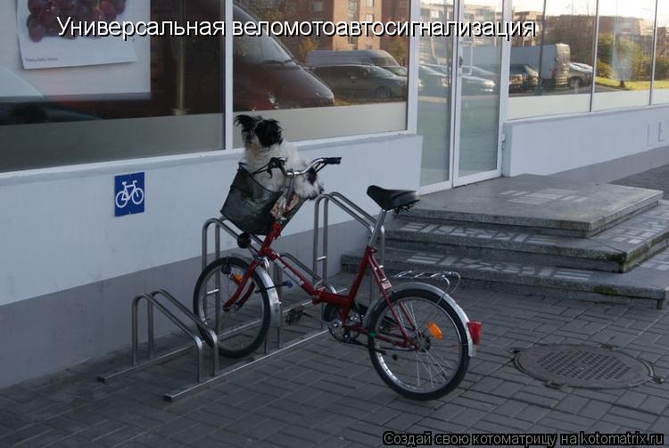 Котоматрица: Универсальная веломотоавтосигнализация