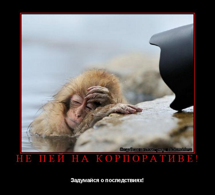 Котоматрица: Не пей на корпоративе! Задумайся о последствиях!