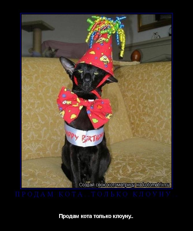 Продам кота..только клоуну.. Продам кота только клоуну..... Котоматрица: Продам кота..только клоуну.. Продам кота только клоуну..