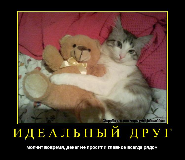 Котоматрица: идеальный друг молчит вовремя, денег не просит и главное всегда рядом