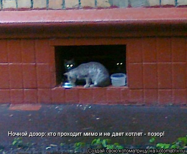 Котоматрица: Ночной дозор: кто проходит мимо и не дает котлет - позор!
