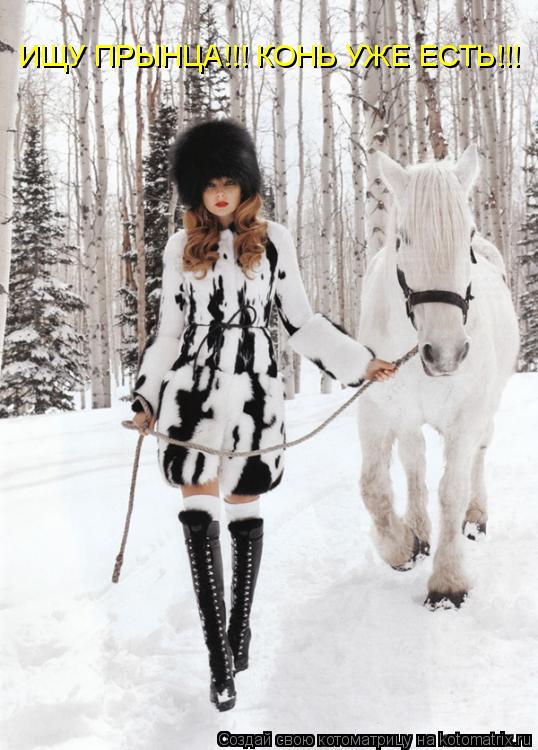 Котоматрица: ИЩУ ПРЫНЦА!!! КОНЬ УЖЕ ЕСТЬ!!!
