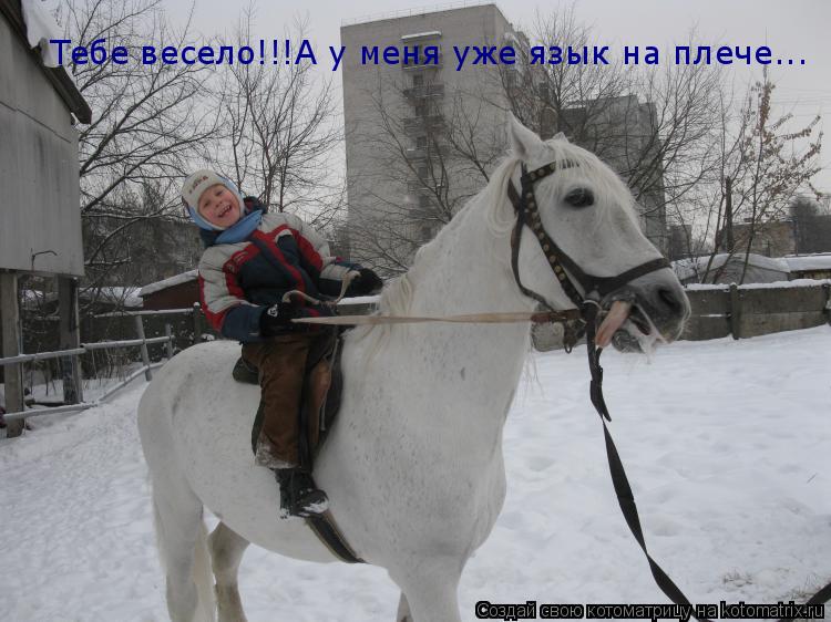 Котоматрица: Тебе весело!!!А у меня уже язык на плече...