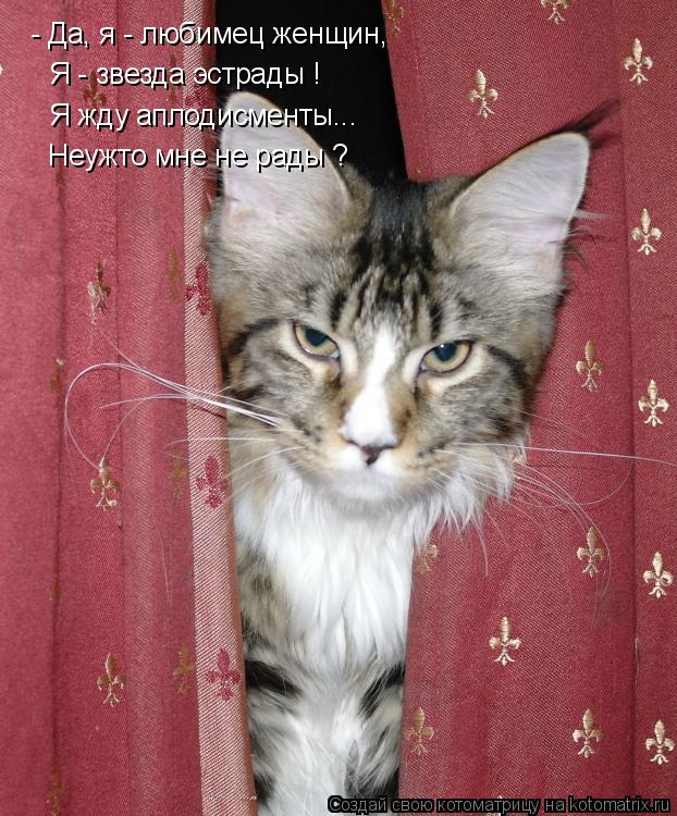 Котоматрица: - Да, я - любимец женщин,   Я - звезда эстрады !  Я жду аплодисменты...  Неужто мне не рады ?