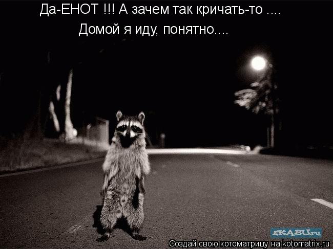 Котоматрица: Да-ЕНОТ !!! А зачем так кричать-то .... Да-ЕНОТ !!! А зачем так кричать-то .... Домой я иду, понятно....