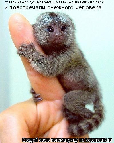 Котоматрица: гуляли как-то дюймовочка и мальчик-с-пальчик по лесу, и повстречали снежного человека