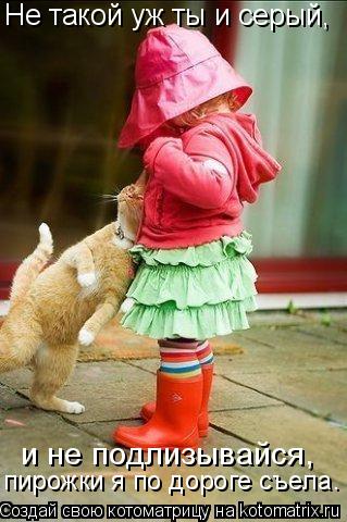 Не такой уж ты и серый, и не подлизывайся, пирожки я по дороге съела.... Котоматрица: Не такой уж ты и серый, и не подлизывайся, пирожки я по дороге съела.
