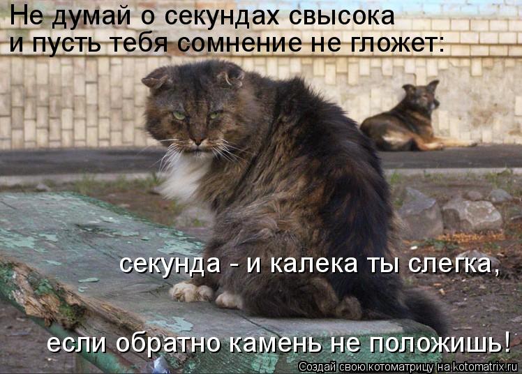 Не думай о секундах свысока и пусть тебя сомнение не гложет: секунда - и калека ты слегка, если обра... Котоматрица: Не думай о секундах свысока и пусть тебя сомнение не гложет: секунда - и калека ты слегка, если обратно камень не положишь!