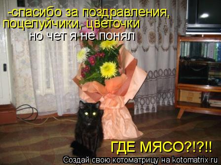 Котоматрица: -спасибо за поздравления,  поцелуйчики, цветочки но чет я не понял ГДЕ МЯСО?!?!!