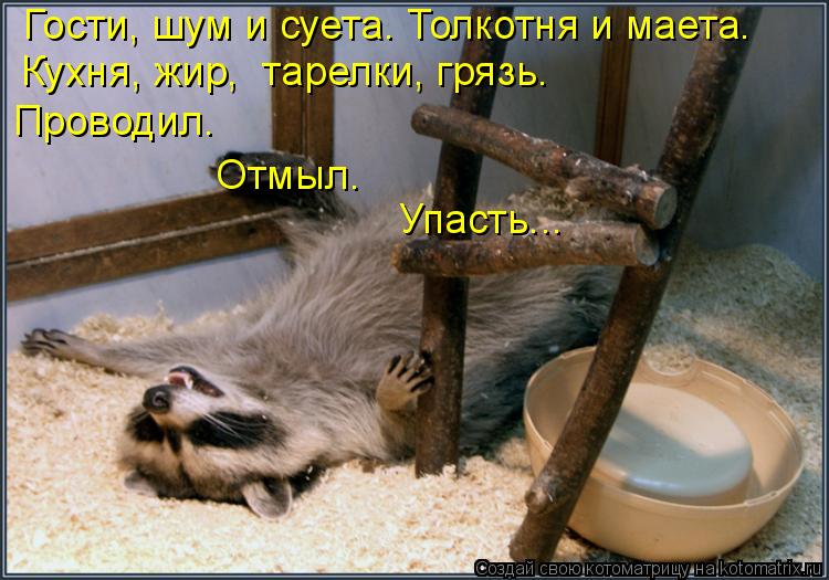 Гости, шум и суета. Толкотня и маета. Кухня, жир, тарелки, грязь. Проводил. Отмыл. Упас... Котоматрица: Гости, шум и суета. Толкотня и маета. Кухня, жир, тарелки, грязь. Проводил. Отмыл. Упасть...