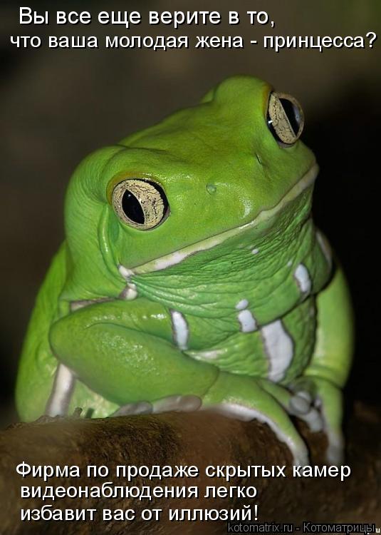 Котоматрица: Вы все еще верите в то,  что ваша молодая жена - принцесса? Фирма по продаже скрытых камер  видеонаблюдения легко  избавит вас от иллюзий!