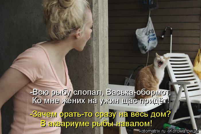 Котоматрица: -Всю рыбу слопал, Васька-обормот, Ко мне жених на ужин щас придёт! -Зачем орать-то сразу на весь дом? В аквариуме рыбы навалом!