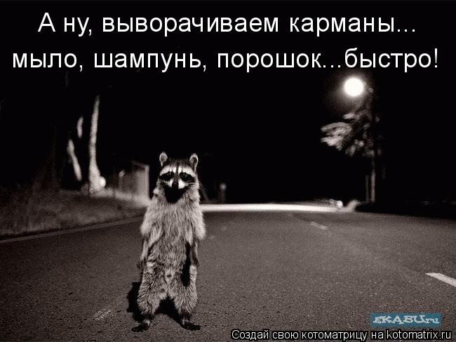 А ну, выворачиваем карманы... мыло, шампунь, порошок...быстро!... Котоматрица: А ну, выворачиваем карманы... мыло, шампунь, порошок...быстро!