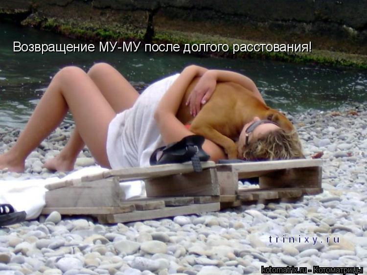 Котоматрица: Возвращение МУ-МУ после долгого расстования!