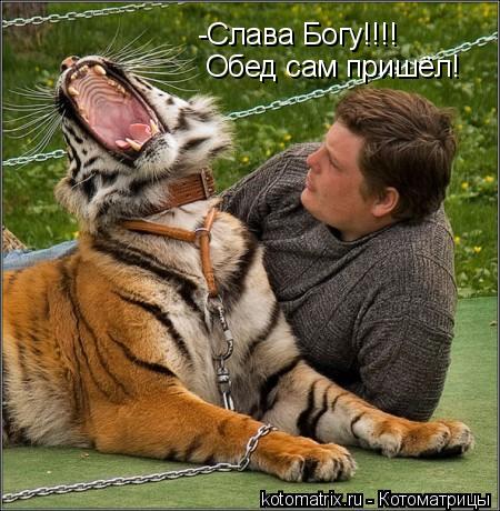 Котоматрица: -Слава Богу!!!! Обед сам пришёл!