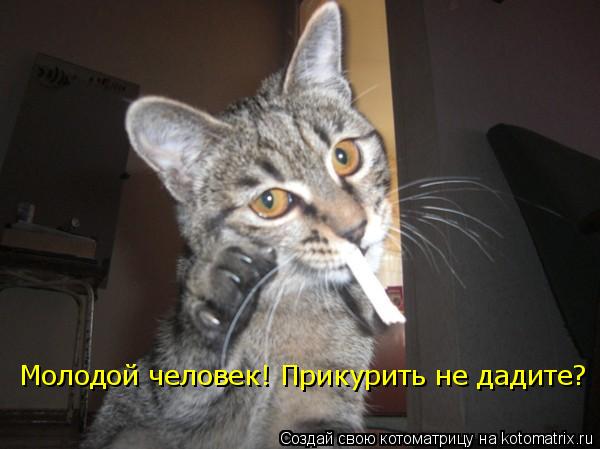 Котоматрица: Молодой человек! Прикурить не дадите?