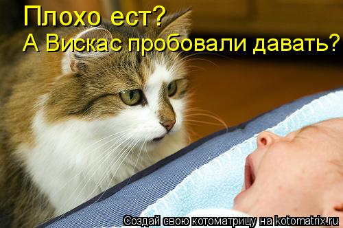 Плохо ест? А Вискас пробовали давать?... Котоматрица: Плохо ест? А Вискас пробовали давать?