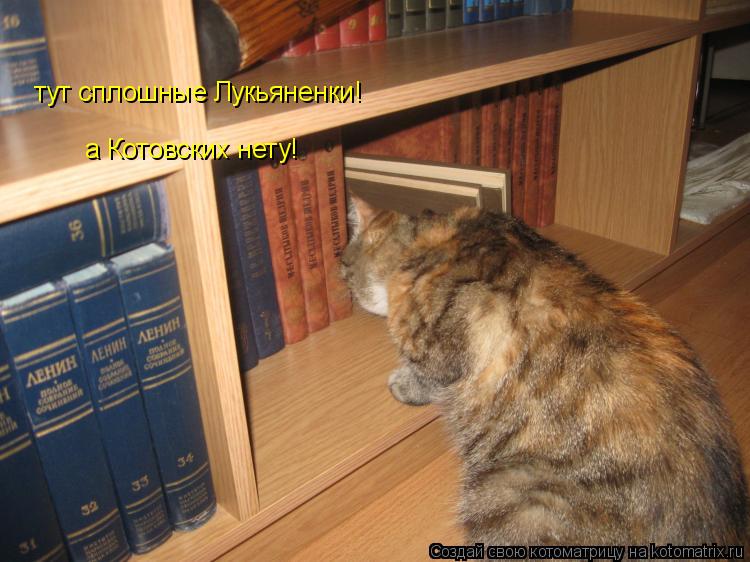 Котоматрица: тут сплошные Лукьяненки! а Котовских нету!