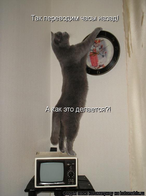 Котоматрица: Так переводим часы назад! А как это делается?!
