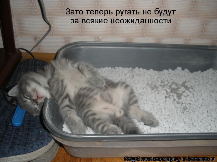 Котоматрица: Зато теперь ругать не будут за всякие неожиданности