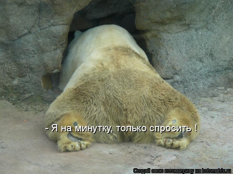 Котоматрица: - Я на минутку, только спросить !