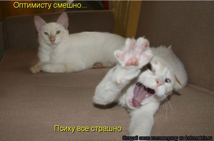 Котоматрица: Психу все страшно Оптимисту смешно...