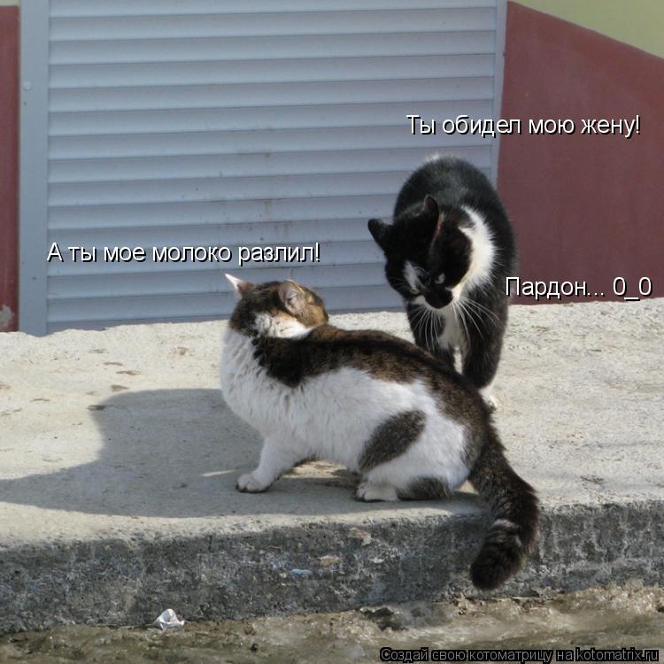 Котоматрица: Ты обидел мою жену! А ты мое молоко разлил! Пардон... 0_0