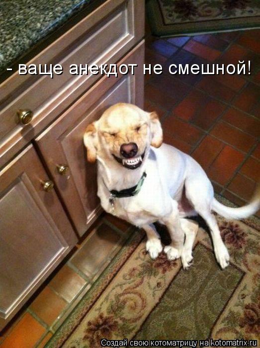 - ваще анекдот не смешной!... Котоматрица: - ваще анекдот не смешной!