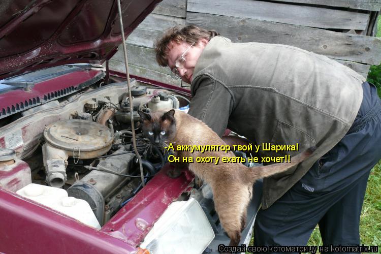 Котоматрица: -А аккумулятор твой у Шарика!  Он на охоту ехать не хочет!!