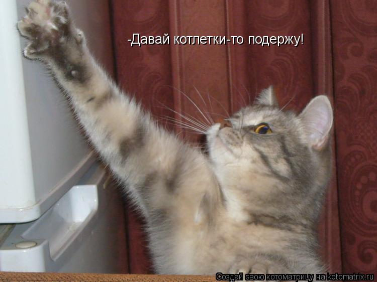 Котоматрица: -Давай котлетки-то подержу!