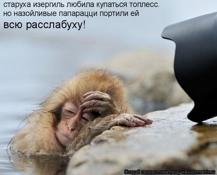 Котоматрица: старуха изергиль любила купаться топлесс. но назойливые папарацци портили ей  всю расслабуху!