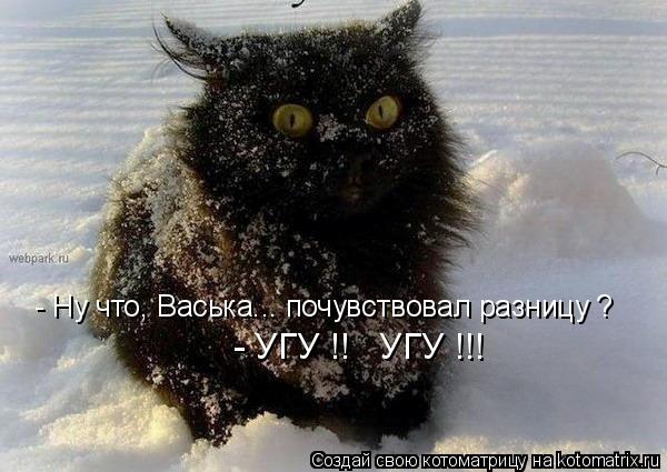 Котоматрица: - Ну что, Васька... почувствовал разницу ? - УГУ !!   УГУ !!!