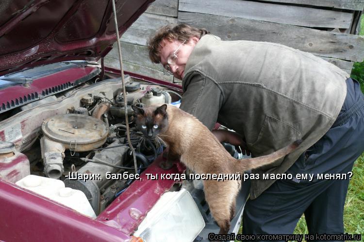 Котоматрица: -Шарик, балбес, ты когда последний раз масло ему менял?
