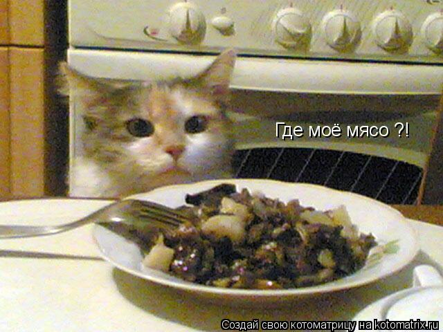 Котоматрица: Где моё мясо ?!
