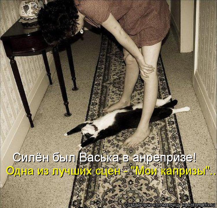 Котоматрица: Силён был Васька в анрепризе! Одна из лучших сцен - "Мои капризы"...