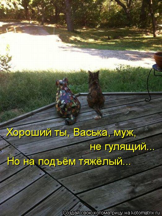 Хороший ты, Васька, муж, не гулящий... Но на подъём тяжёлый...... Котоматрица: Хороший ты, Васька, муж, не гулящий... Но на подъём тяжёлый...