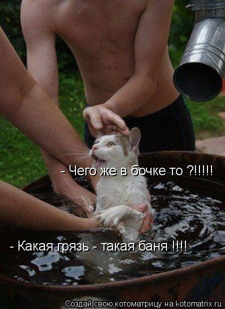Котоматрица: - Чего же в бочке то ?!!!!! - Какая грязь - такая баня !!!!