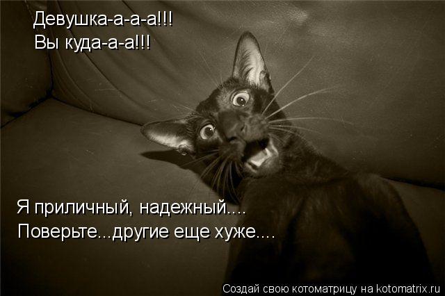 Девушка-а-а-а!!! Вы куда-а-а!!! Я приличный, надежный.... Поверьте...другие еще хуже....... Котоматрица: Девушка-а-а-а!!! Вы куда-а-а!!! Я приличный, надежный.... Поверьте...другие еще хуже....