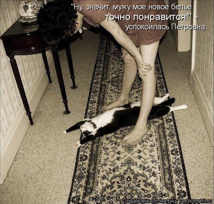 Котоматрица: "Ну, значит, мужу мое новое белье точно понравится!" - успокоилась Петровна.