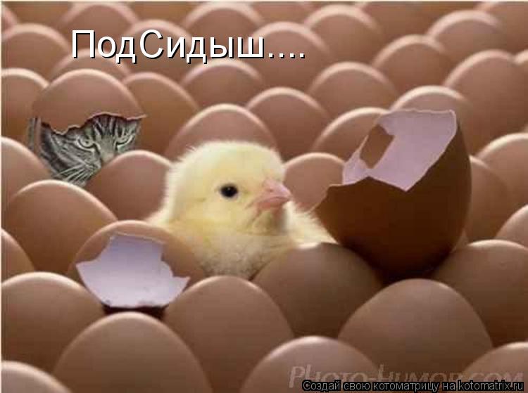 ПодСидыш....... Котоматрица: ПодСидыш....
