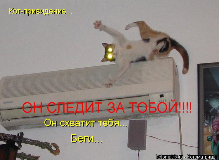 Котоматрица: Кот-привидение... ОН СЛЕДИТ ЗА ТОБОЙ!!!! Он схватит тебя... Беги...